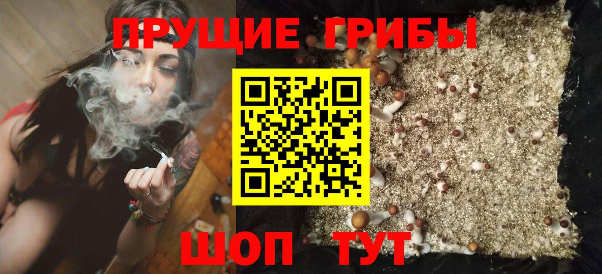 что такое наркотик  Псилоцибиновые грибы ЛСД  Вход с VPN  Кстово  Галлюциногенные грибы GOLDEN TEACHER 